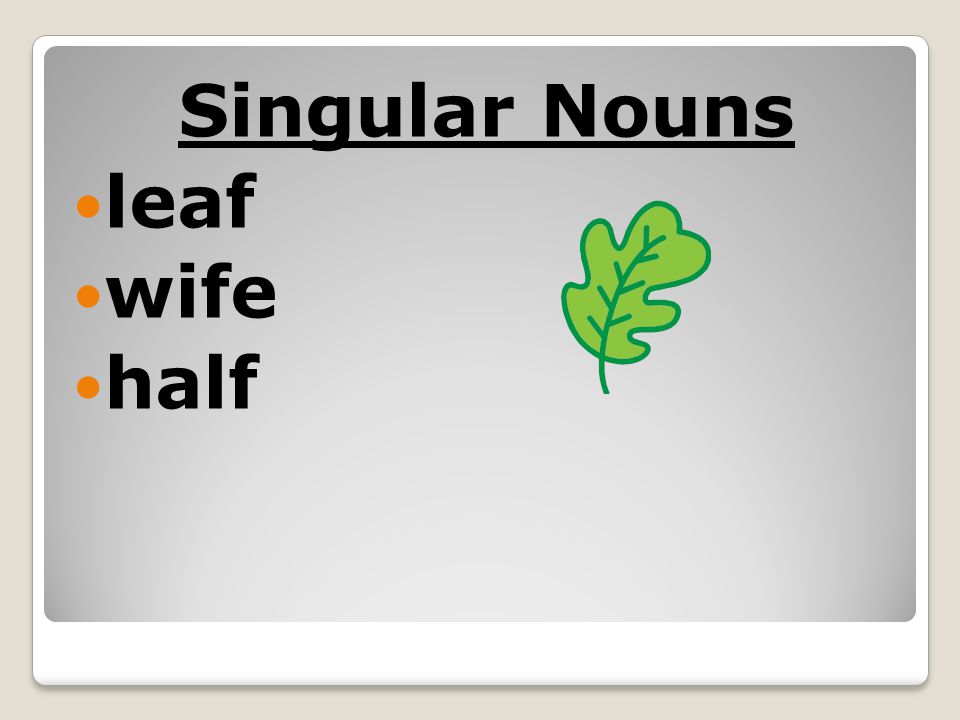 Singular Nouns leaf wife half