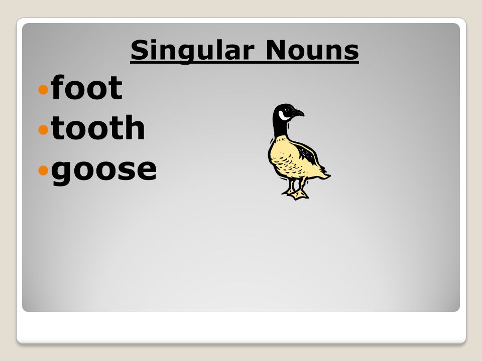 Singular Nouns foot tooth goose