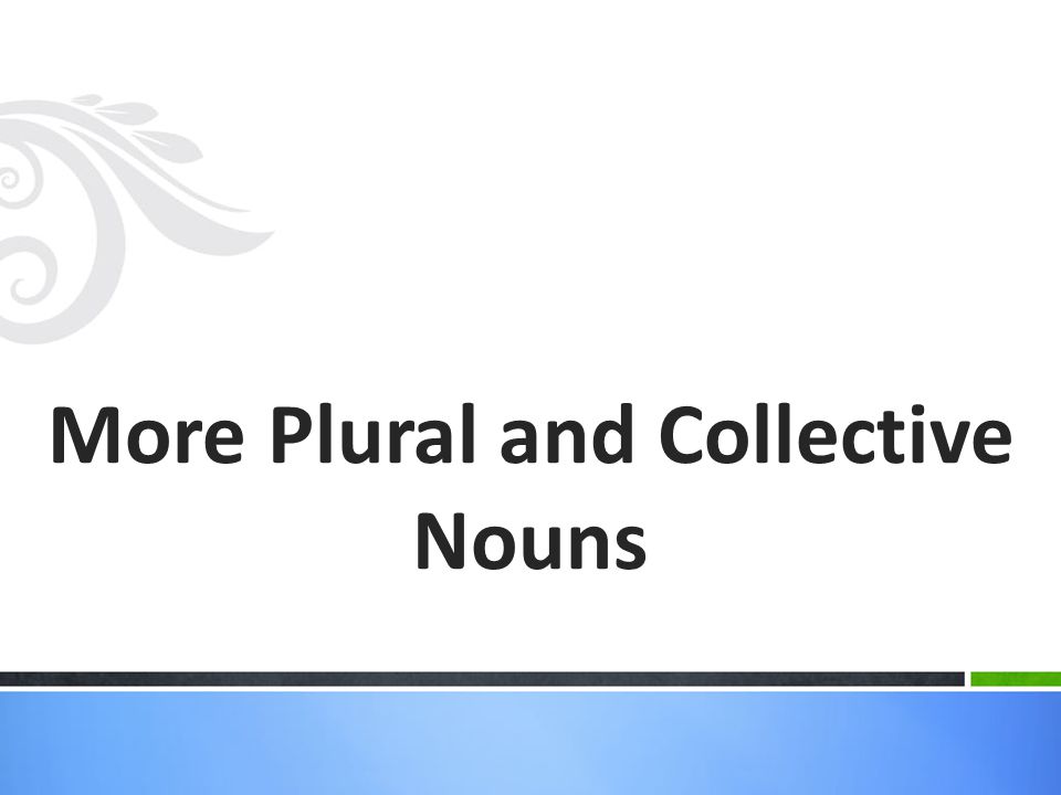 More Plural and Collective Nouns