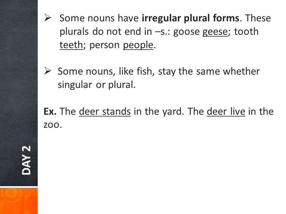 Some nouns have irregular plural forms. These plurals do not end in –s