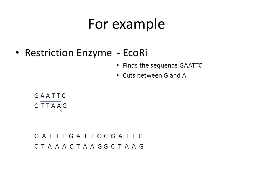 For example Restriction Enzyme - EcoRi Finds the sequence GAATTC