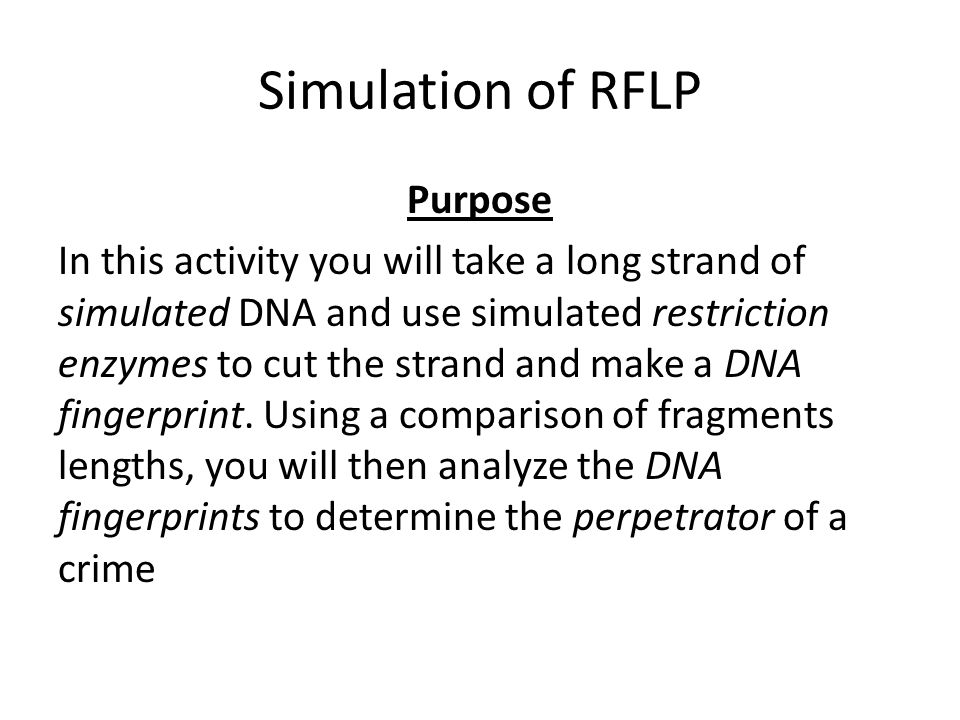 Simulation of RFLP