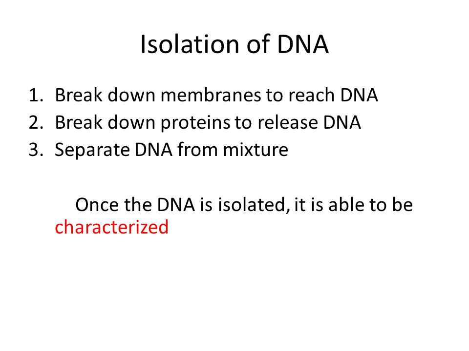 Isolation of DNA Break down membranes to reach DNA