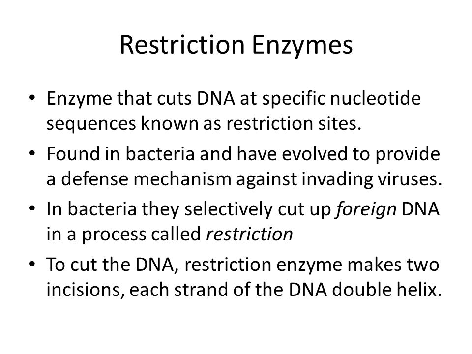 Restriction Enzymes Enzyme that cuts DNA at specific nucleotide sequences known as restriction sites.