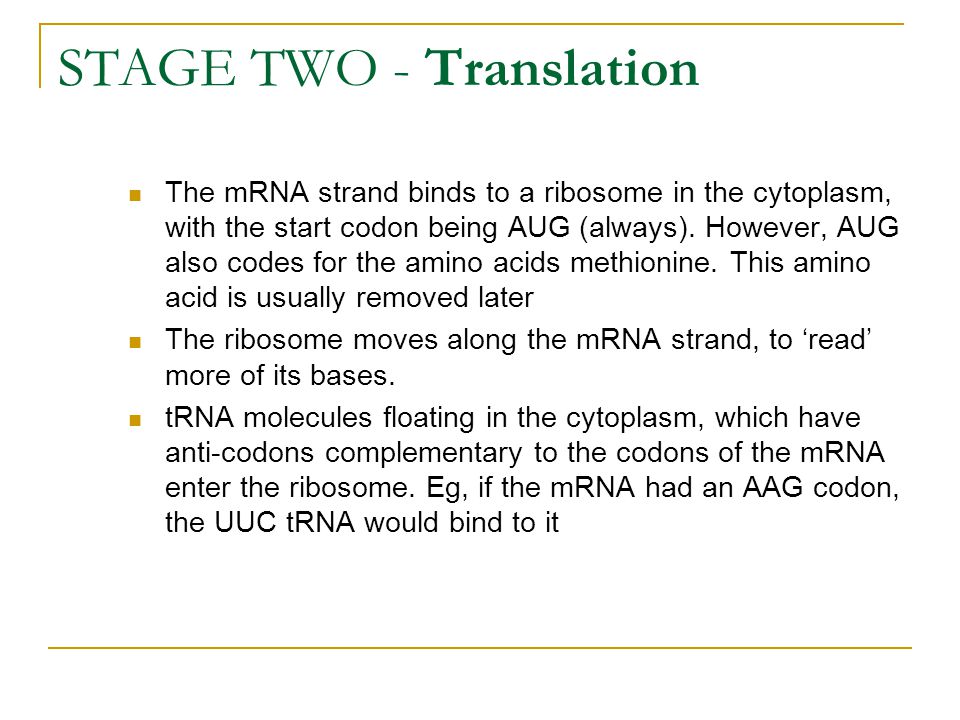 STAGE TWO - Translation