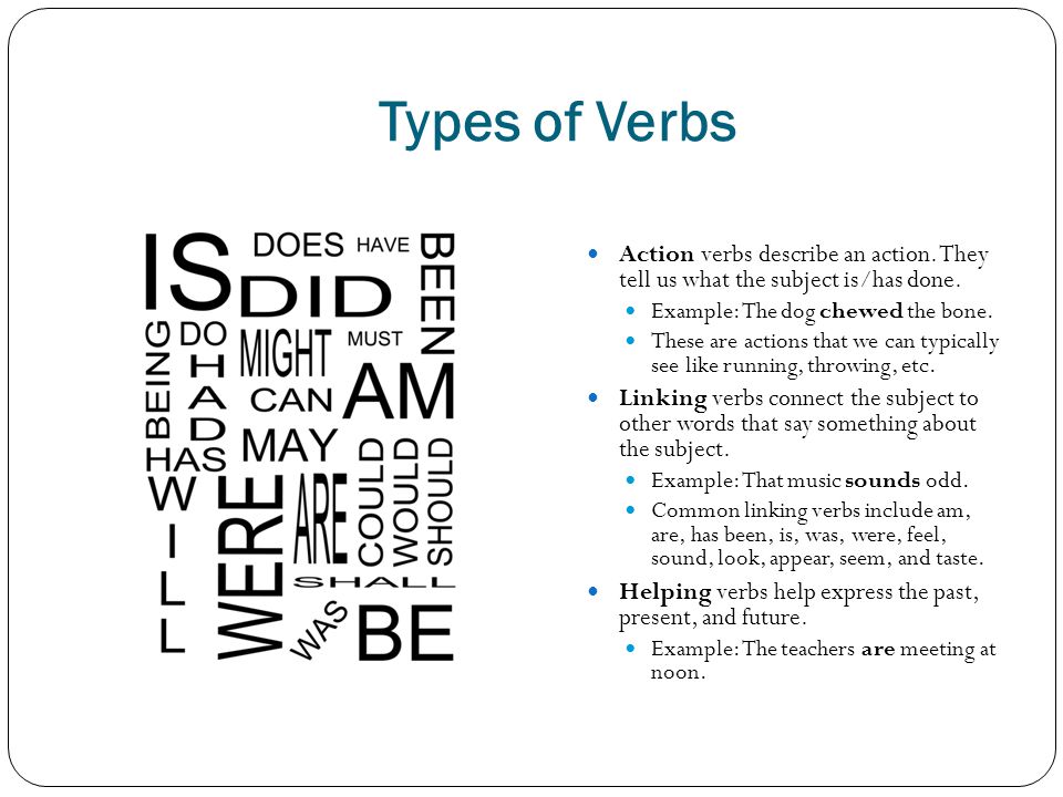 Types of Verbs Action verbs describe an action. They tell us what the subject is/has done. Example: The dog chewed the bone.