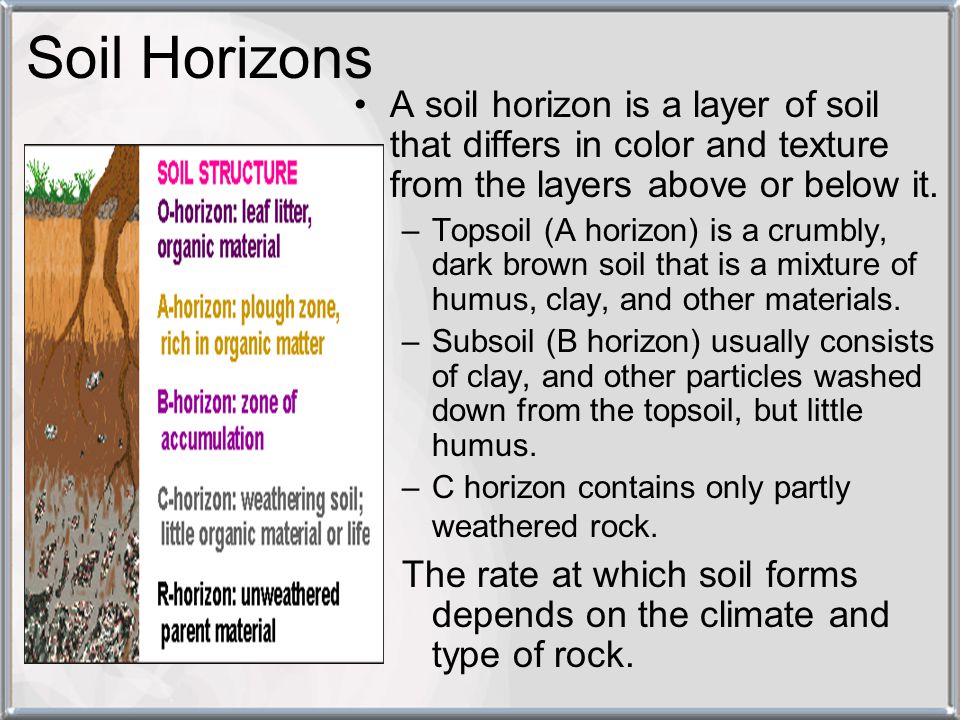Soil Horizons A soil horizon is a layer of soil that differs in color and texture from the layers above or below it.