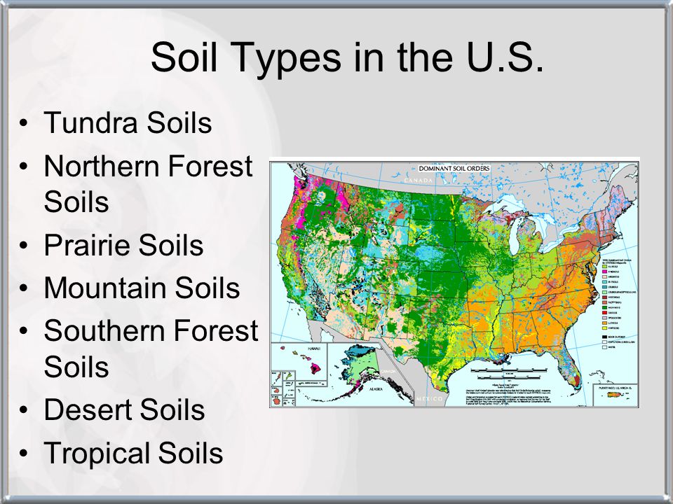 Soil Types in the U.S. Tundra Soils Northern Forest Soils
