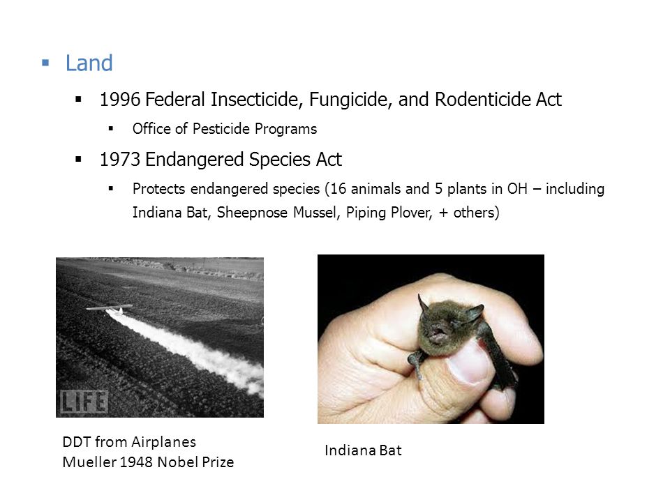 Land 1996 Federal Insecticide, Fungicide, and Rodenticide Act