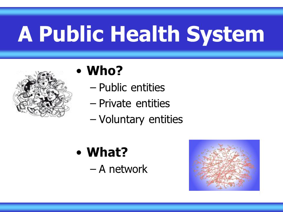 A Public Health System Who What Public entities Private entities