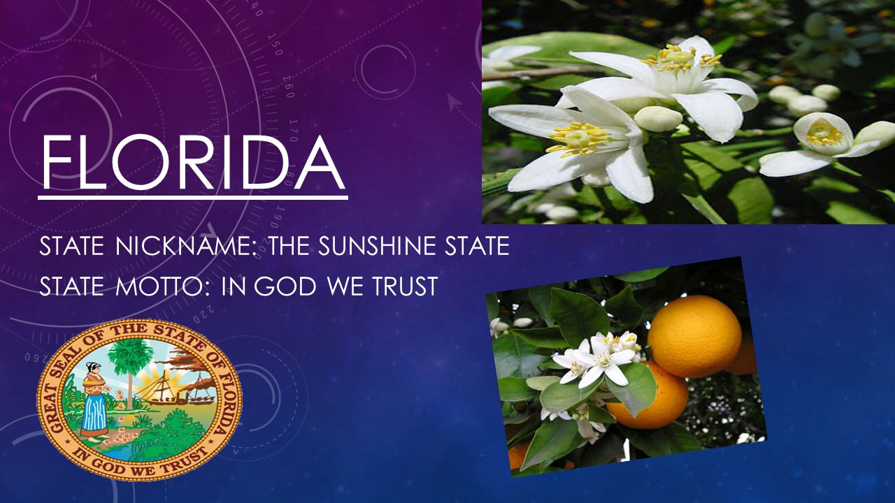 State nickname: The Sunshine State State Motto: In God we trust