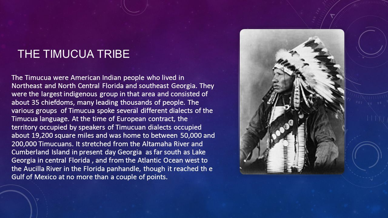 The Timucua Tribe