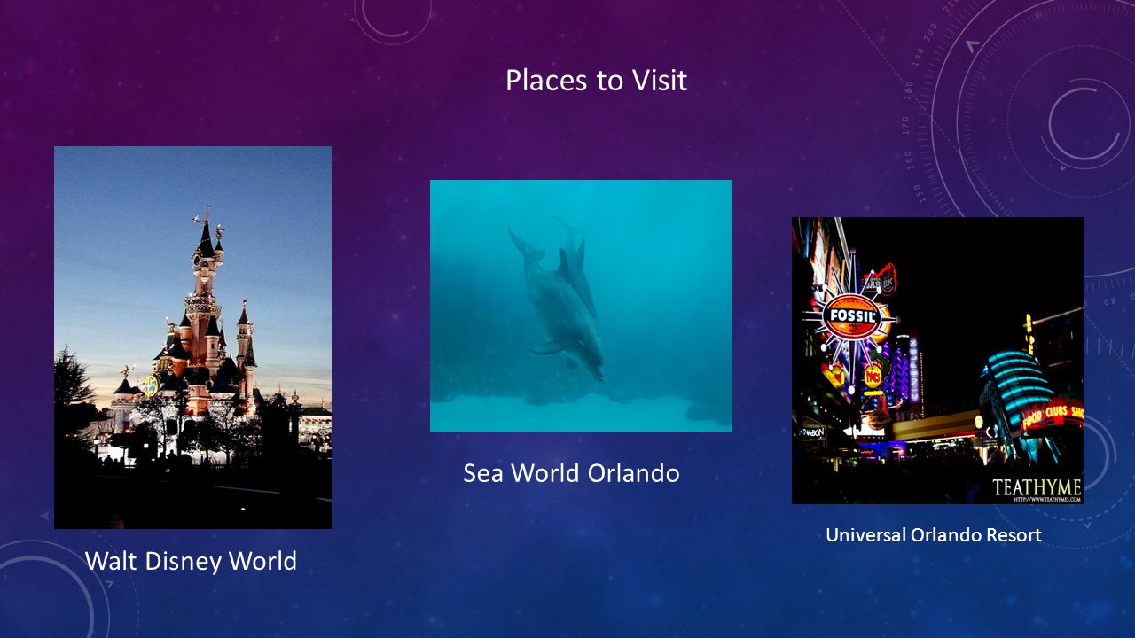 Places to Visit Sea World Orlando Walt Disney World