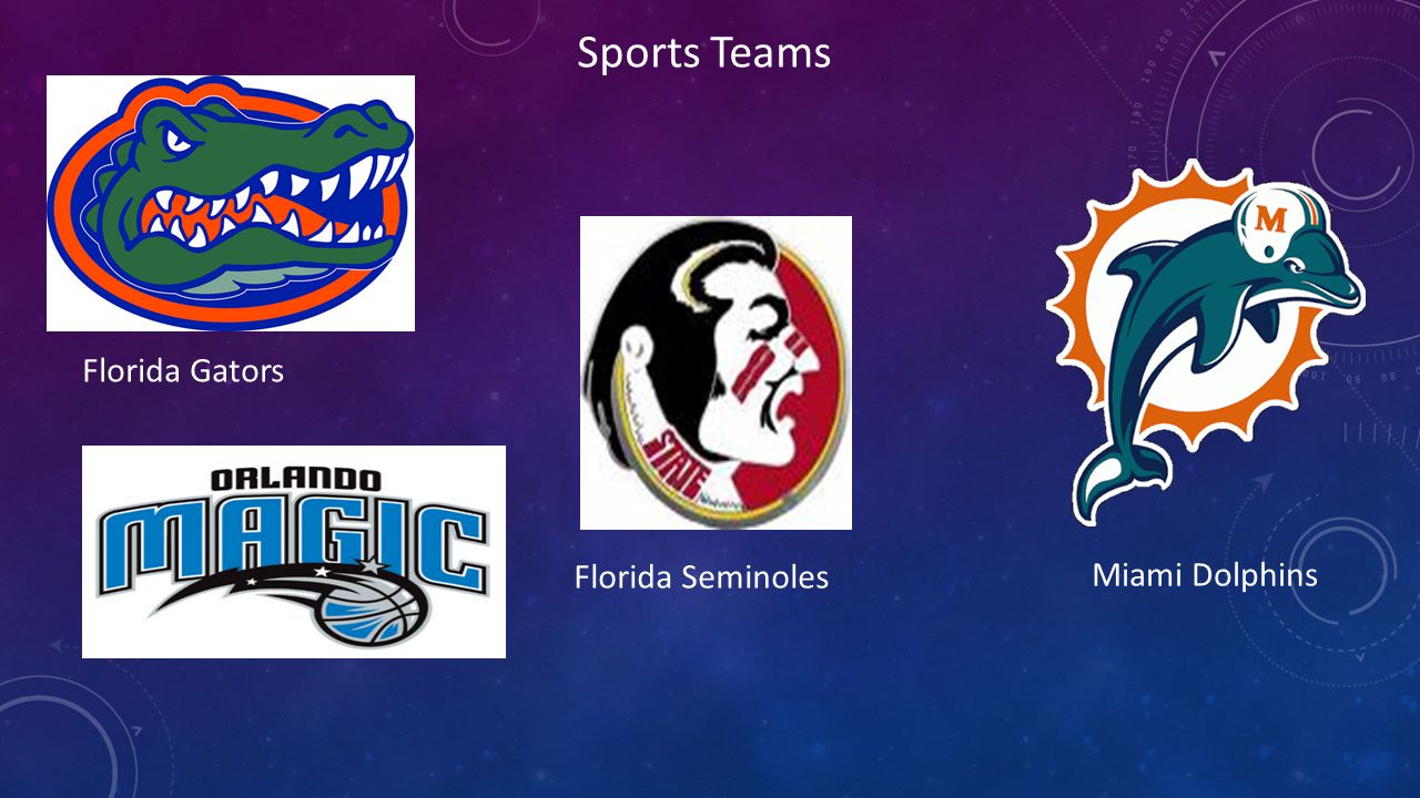 Sports Teams Florida Gators Florida Seminoles Miami Dolphins