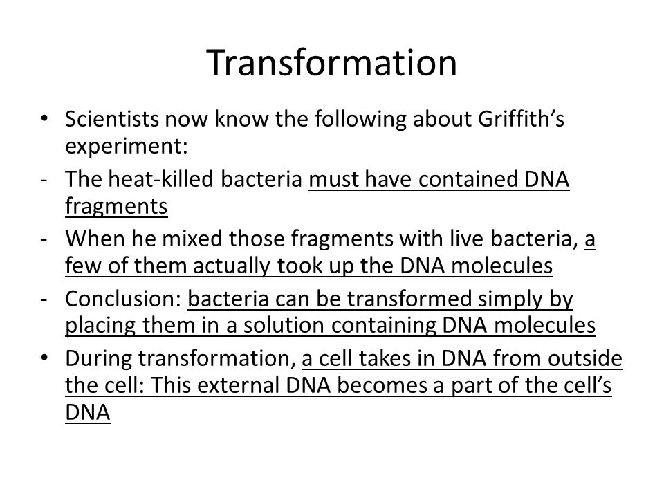 Transformation Scientists now know the following about Griffith’s experiment: The heat-killed bacteria must have contained DNA fragments.