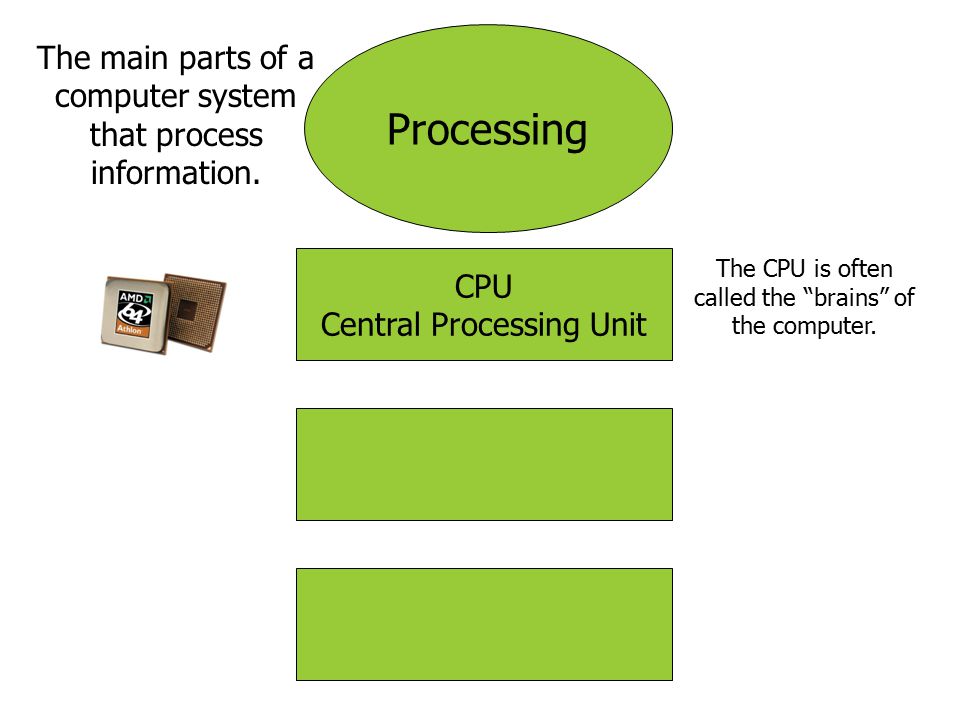 Processing The main parts of a computer system that process information. CPU. Central Processing Unit.