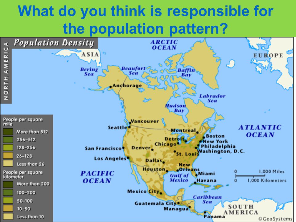 What do you think is responsible for the population pattern