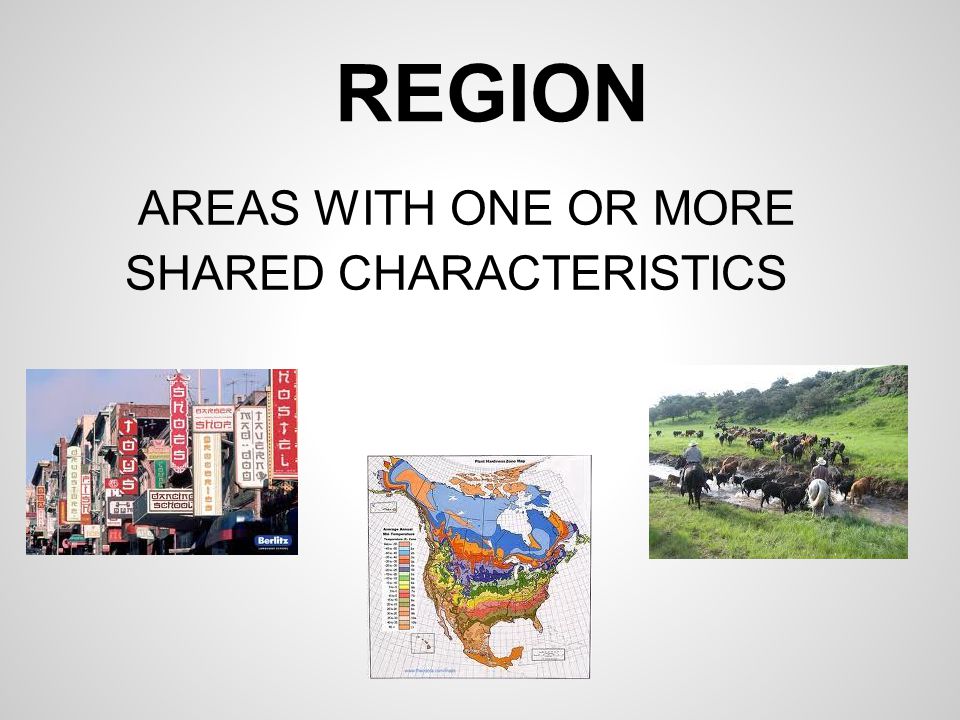 REGION AREAS WITH ONE OR MORE SHARED CHARACTERISTICS