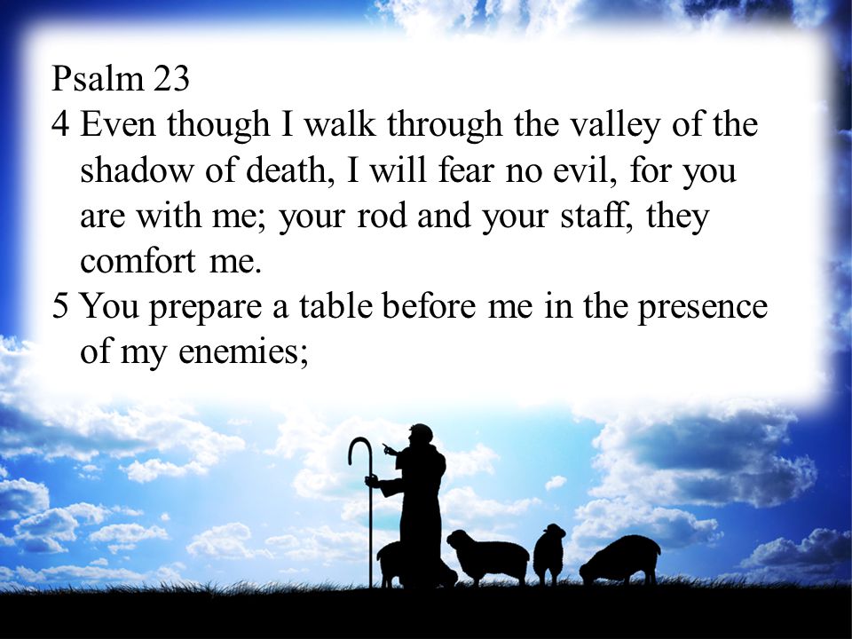 Psalm 23 4 Even though I walk through the valley of the shadow of death, I will fear no evil, for you are with me; your rod and your staff, they comfort me.