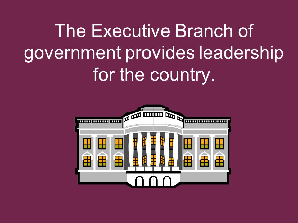 The Executive Branch of government provides leadership for the country.