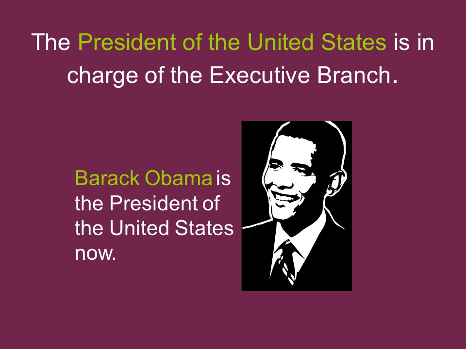 The President of the United States is in charge of the Executive Branch.