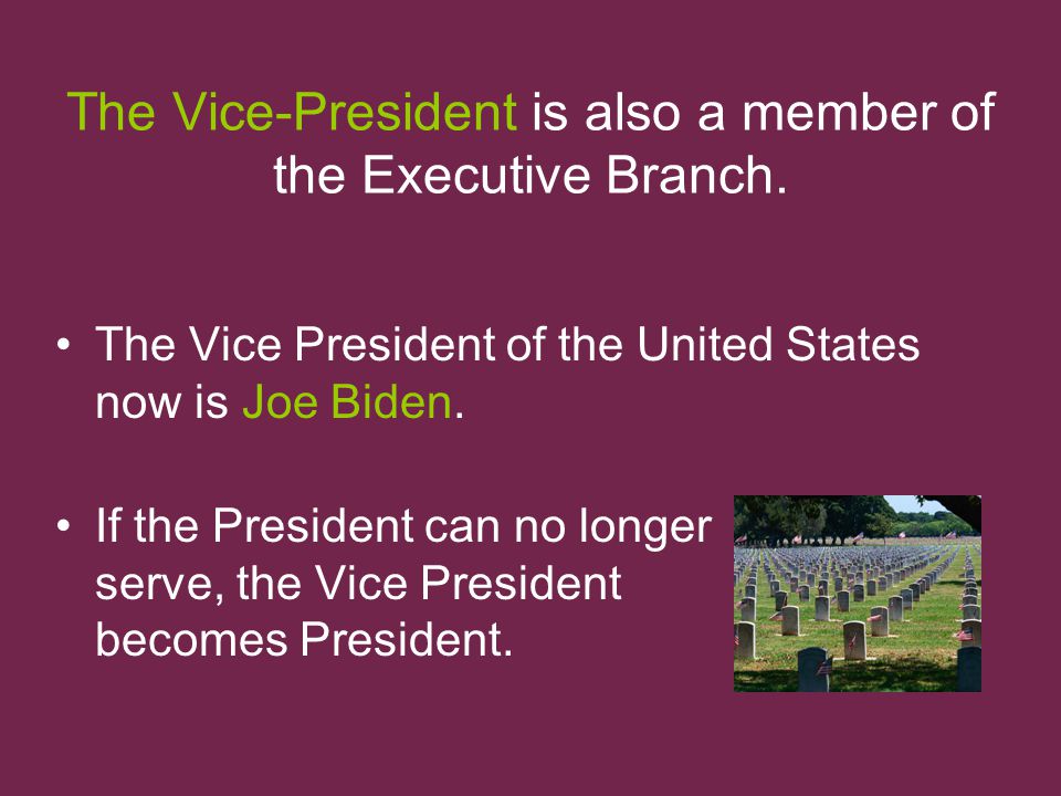 The Vice-President is also a member of the Executive Branch.