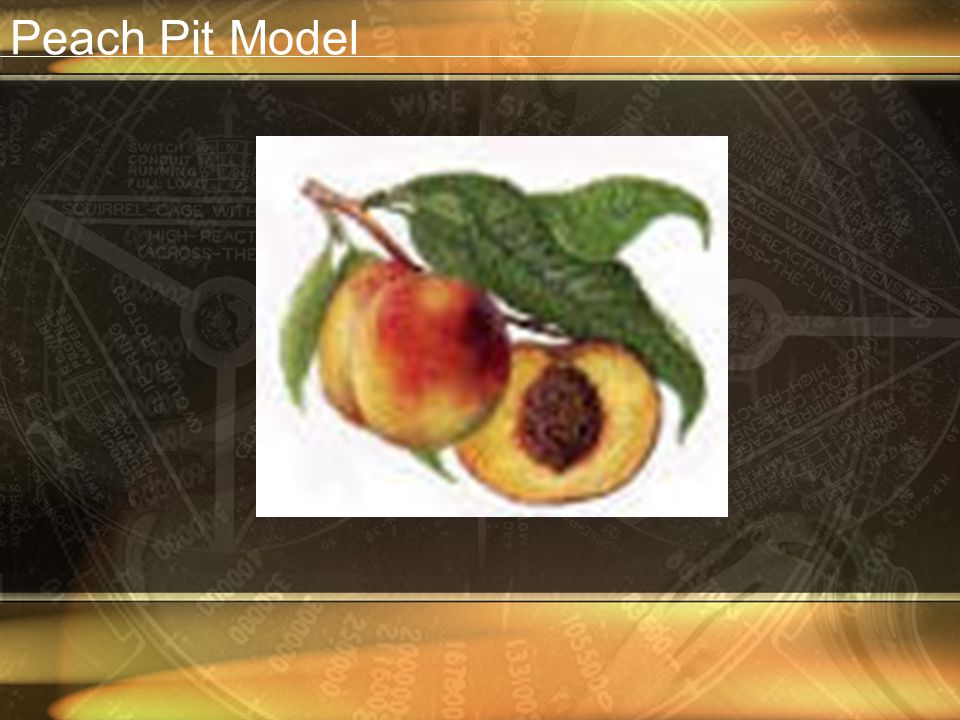 Peach Pit Model