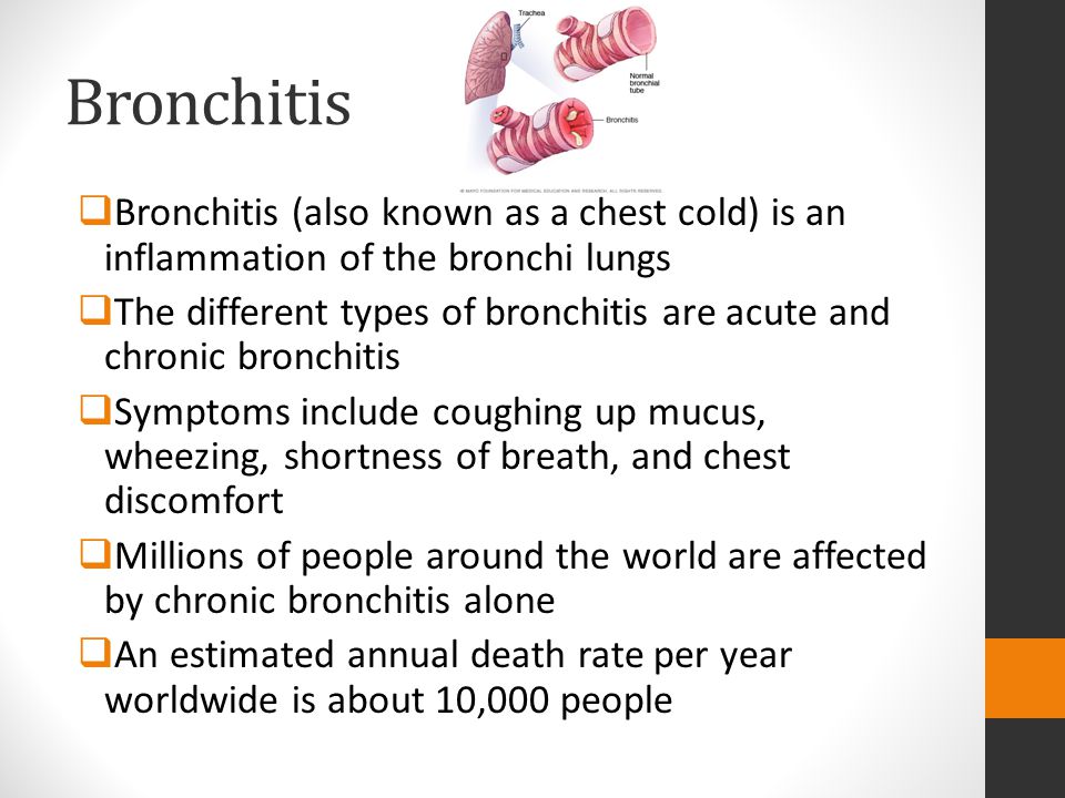 Bronchitis Bronchitis (also known as a chest cold) is an inflammation of the bronchi lungs.