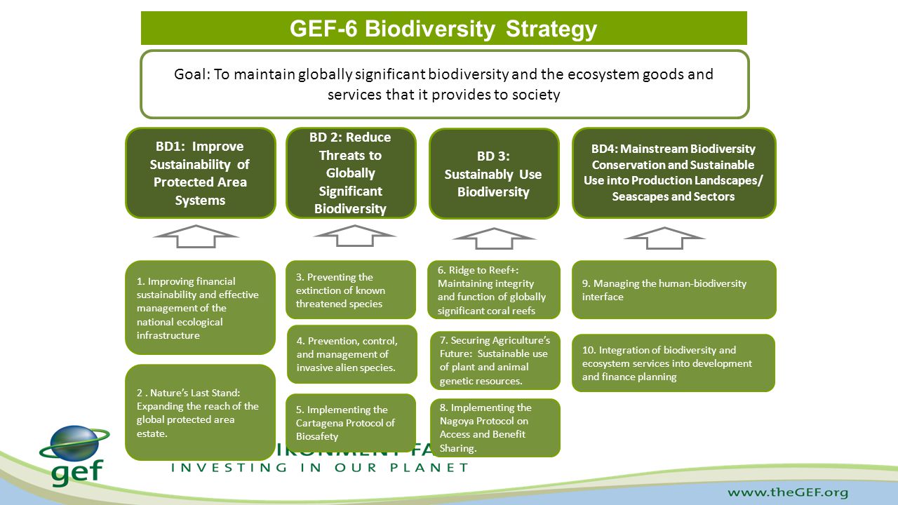 GEF-6 Biodiversity Strategy