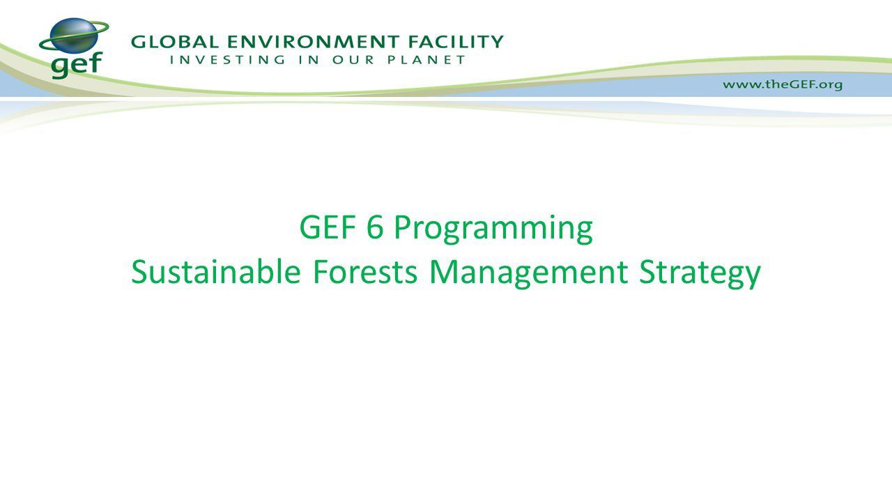 GEF 6 Programming Sustainable Forests Management Strategy