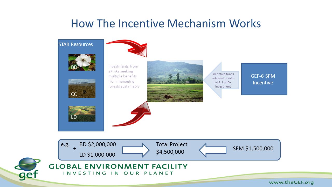 How The Incentive Mechanism Works