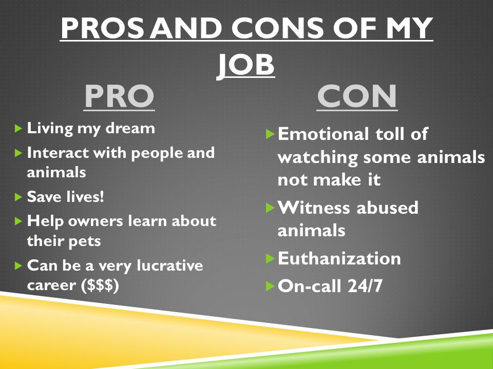 PRO CON ProS and Cons of my job