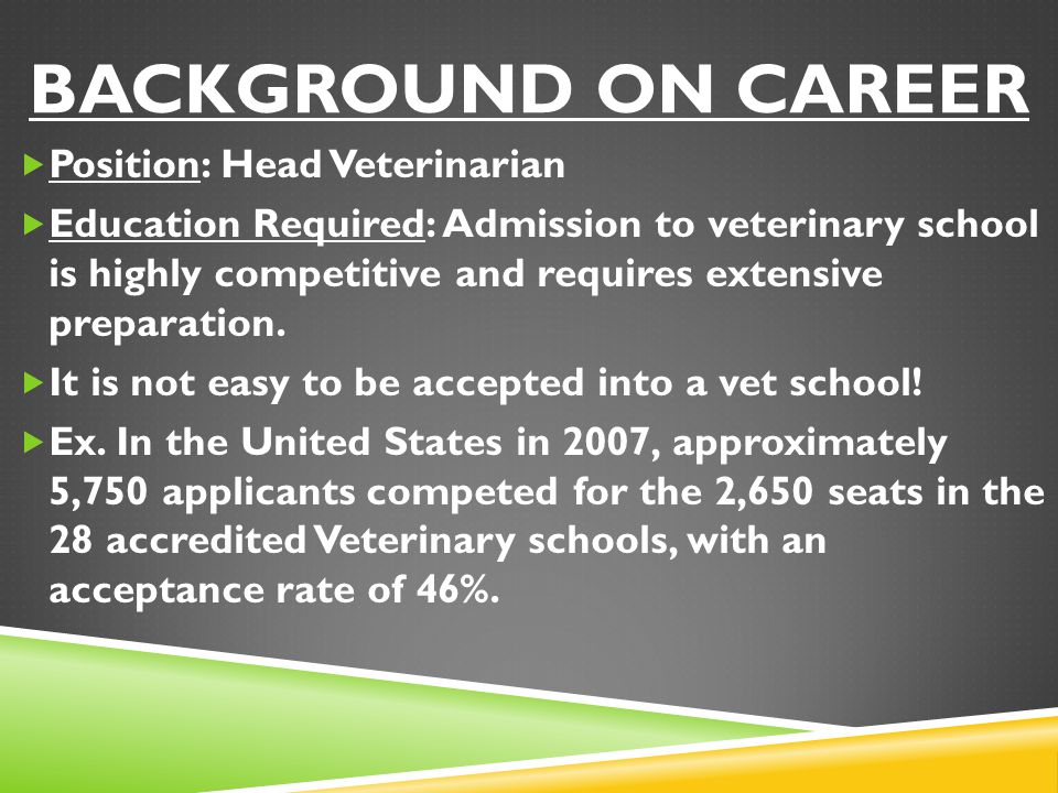 background on career Position: Head Veterinarian