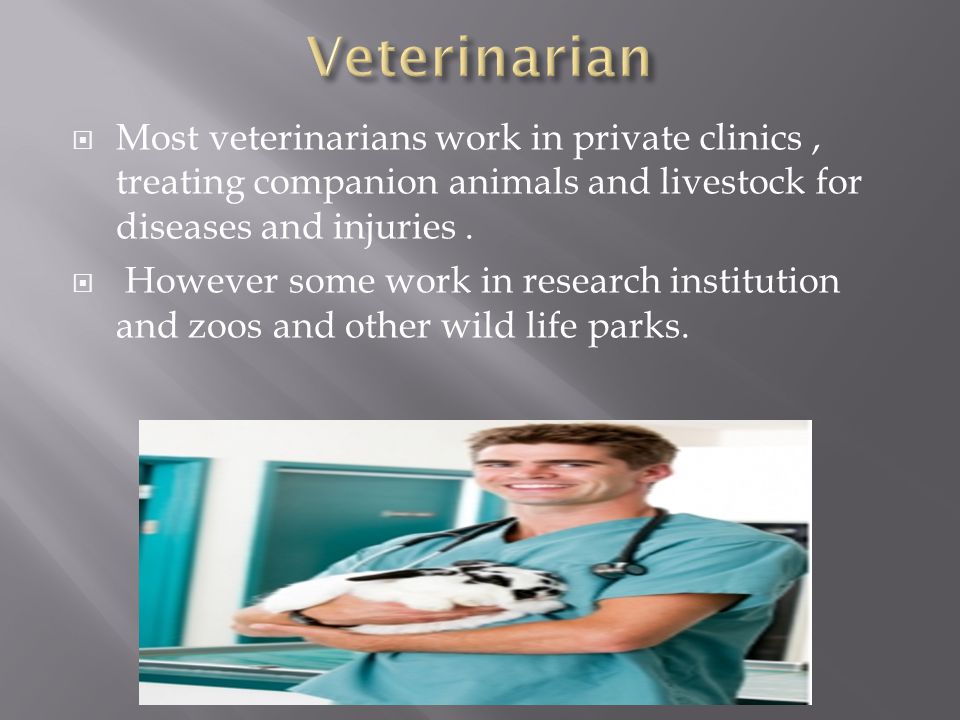 Veterinarian Most veterinarians work in private clinics , treating companion animals and livestock for diseases and injuries .
