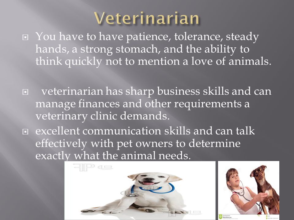 Veterinarian You have to have patience, tolerance, steady hands, a strong stomach, and the ability to think quickly not to mention a love of animals.