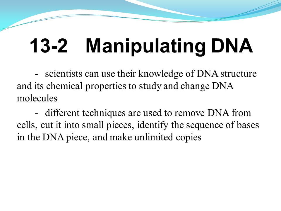 13-2 Manipulating DNA