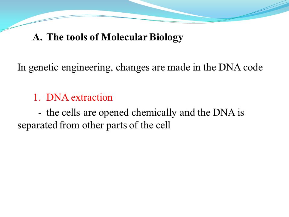 A. The tools of Molecular Biology In genetic engineering, changes are made in the DNA code 1.
