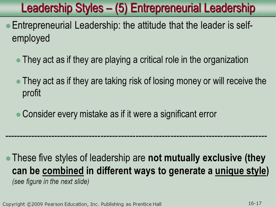 Leadership Styles – (5) Entrepreneurial Leadership