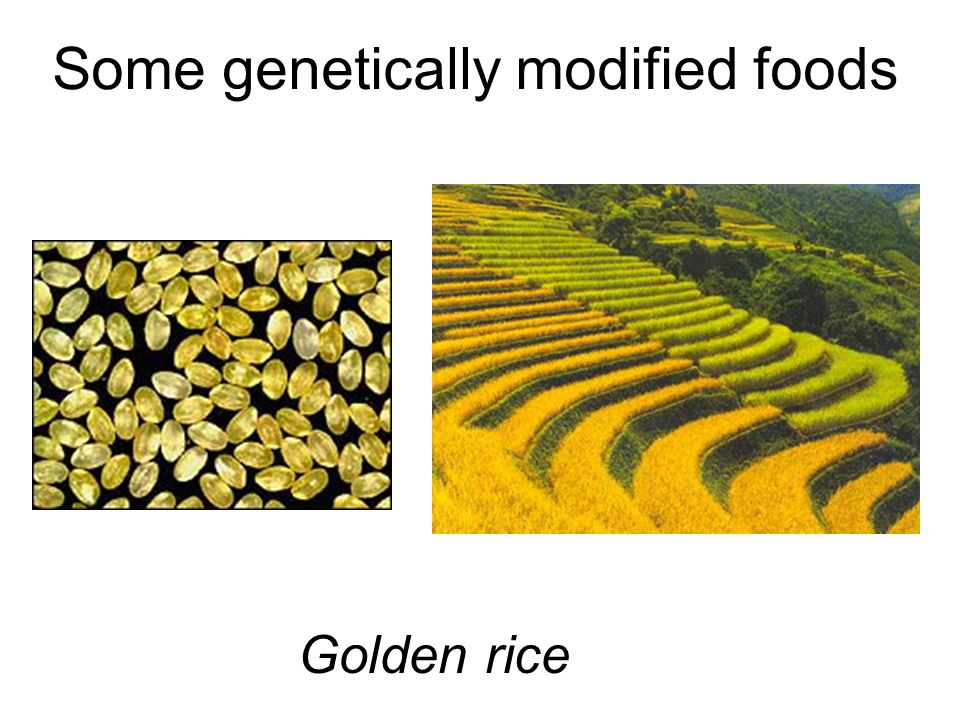 Some genetically modified foods