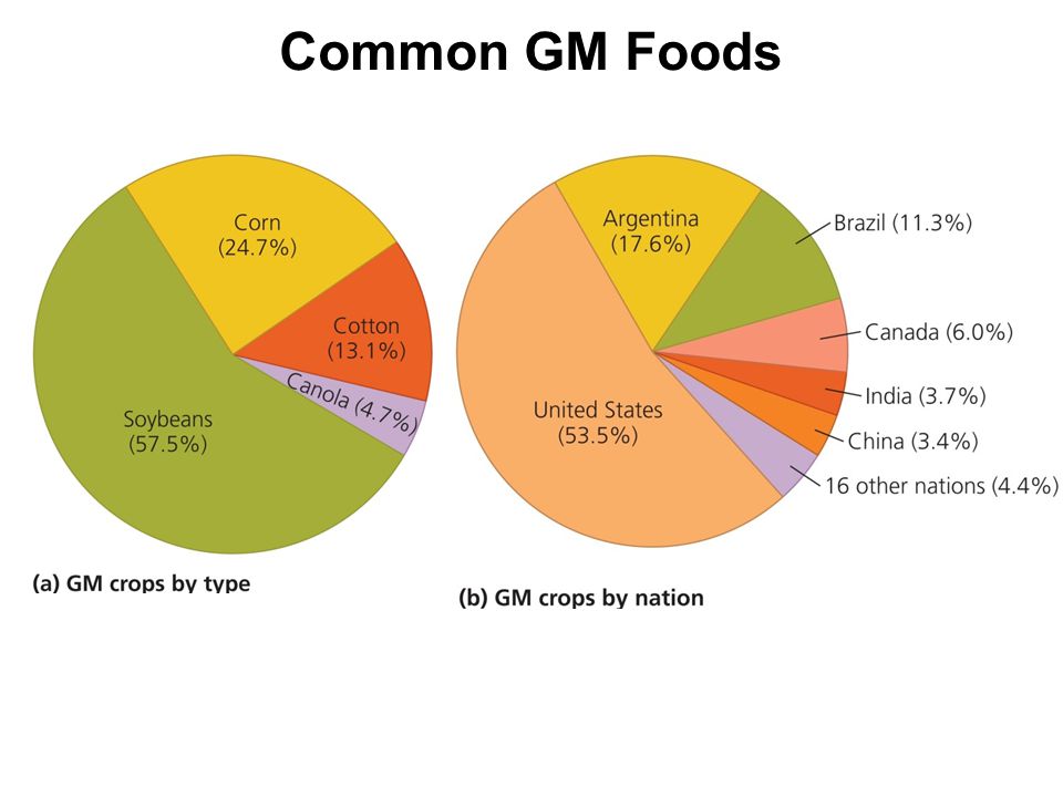 Common GM Foods Globally, in 2007, more than 12 million farmers grew GM foods on 114 million ha of farmland, producing $6.9 billion worth of crops.