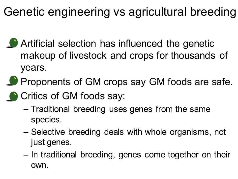 Genetic engineering vs agricultural breeding