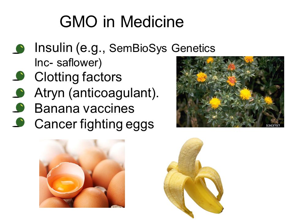 GMO in Medicine Insulin (e.g., SemBioSys Genetics Inc- saflower)