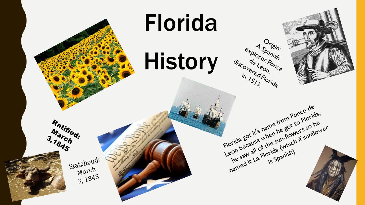 A Spanish explorer, Ponce de Leon, discovered Florida in 1513.