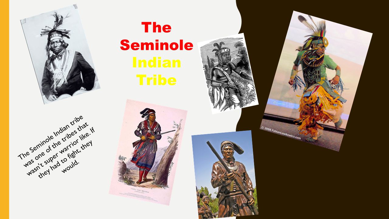The Seminole Indian Tribe