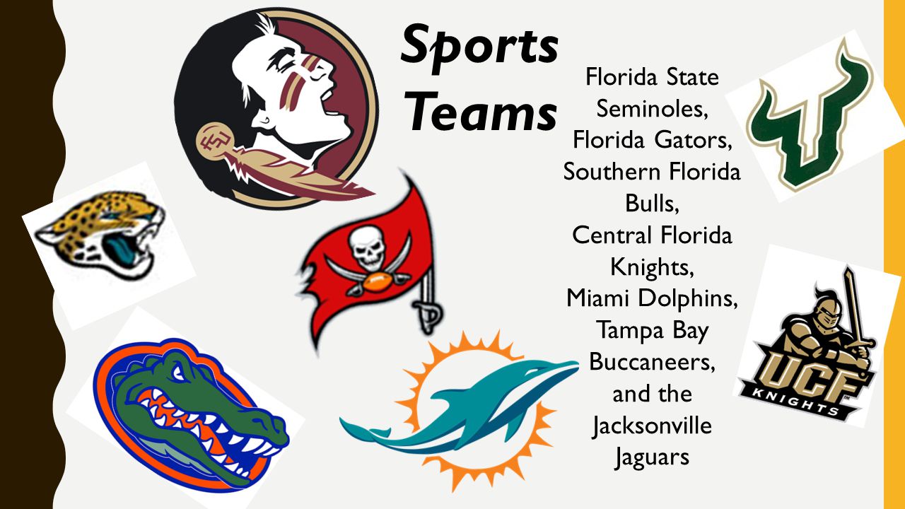 Sports Teams Florida State Seminoles, Florida Gators,