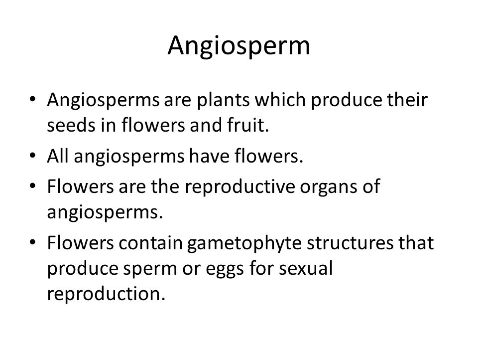 Angiosperm Angiosperms are plants which produce their seeds in flowers and fruit. All angiosperms have flowers.