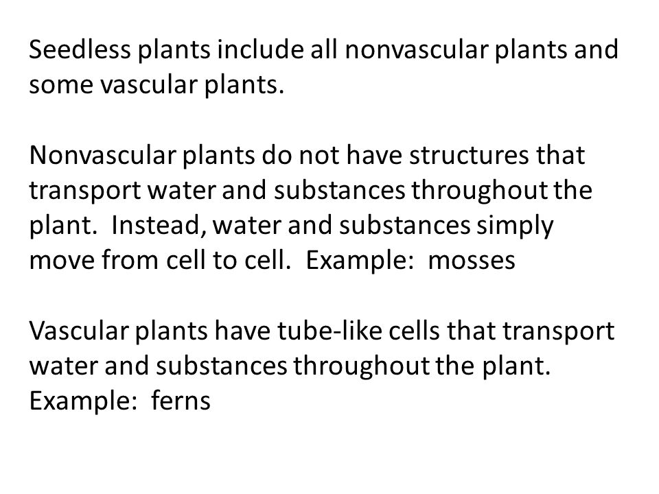 Seedless plants include all nonvascular plants and some vascular plants.