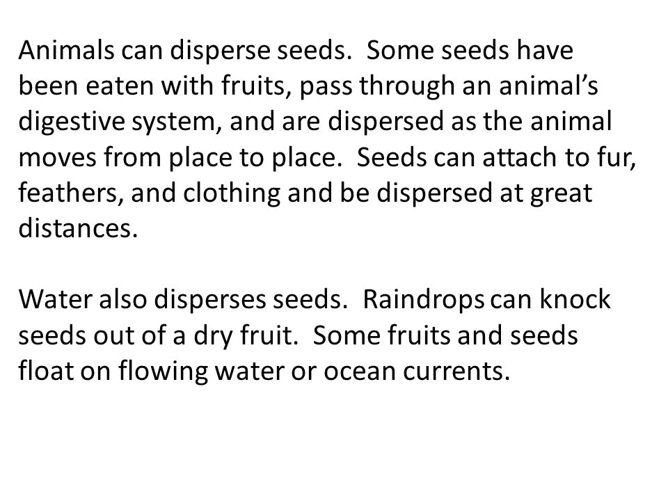 Animals can disperse seeds