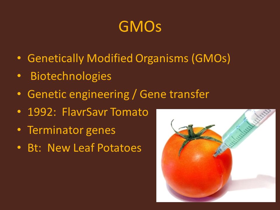 GMOs Genetically Modified Organisms (GMOs) Biotechnologies