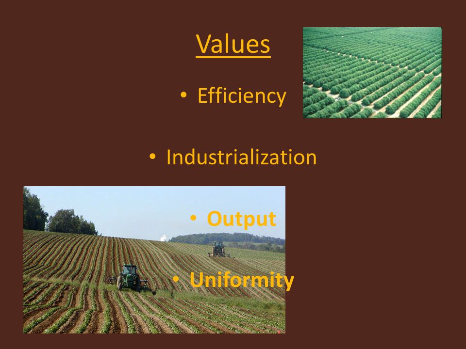 Values Efficiency Industrialization Output Uniformity